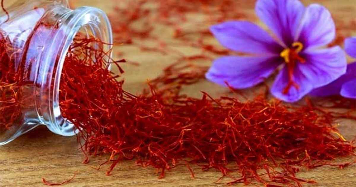 زعفران مشهد یکی دیگر از معروف ترین سوغاتی های ایران است